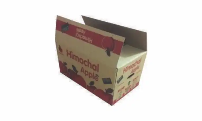 Apple Packaging Box