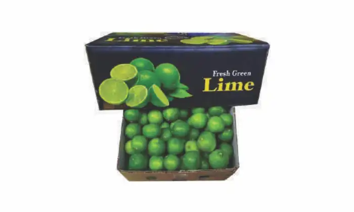 Lemon Packaging Box